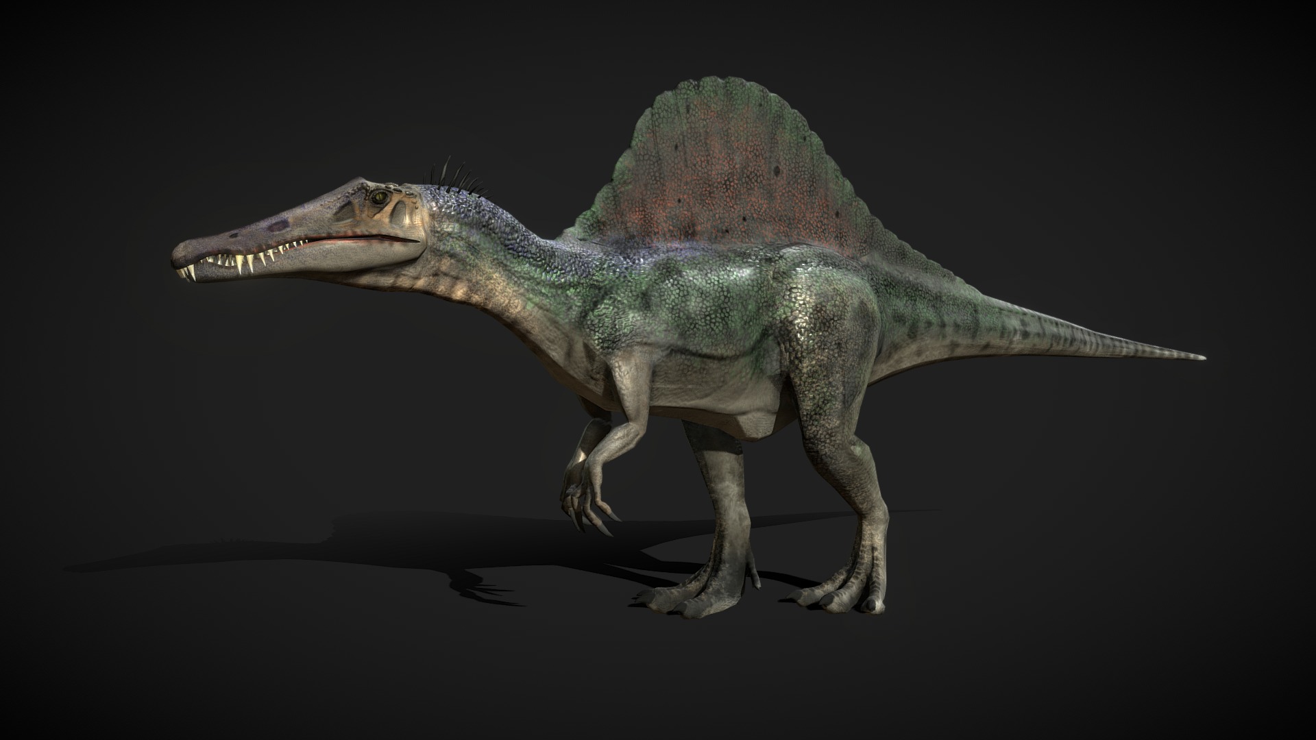 3D model Spinosaurus LowPoly - This is a 3D model of the Spinosaurus LowPoly. The 3D model is about a lizard with a long neck.