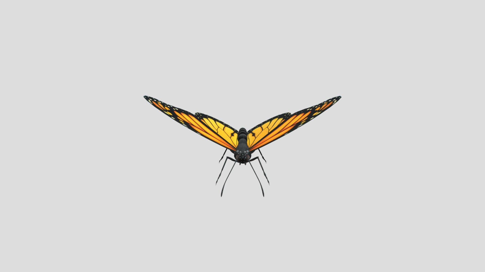 Monarch Butterfly — Sketchfab embed 3D viewer