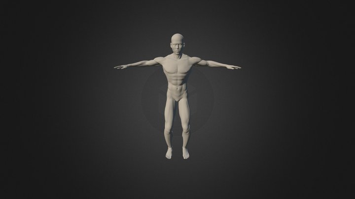 Victus "From Azul Cielo" 3D Model