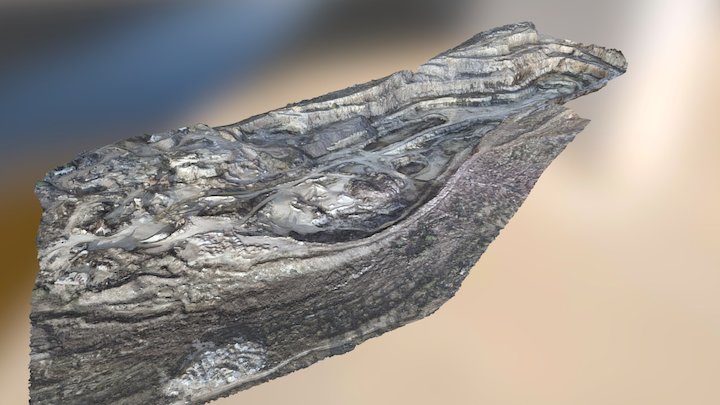 Tayibe old query 3D Model