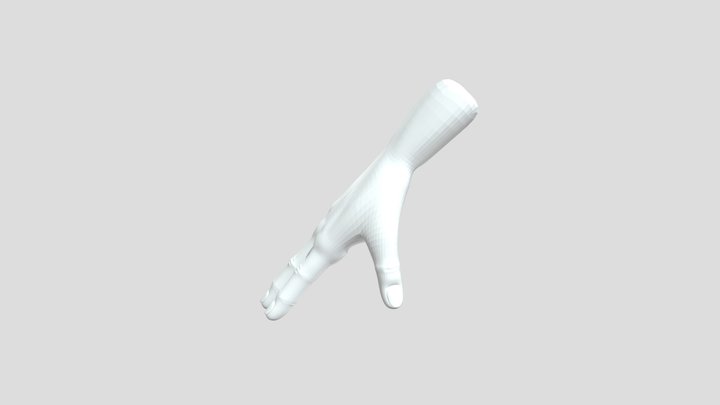 Hand 3D Model