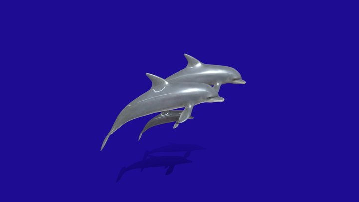 The Dolphin Family 3D Model