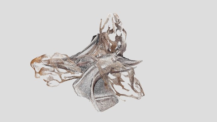 ptcloud 3D Model