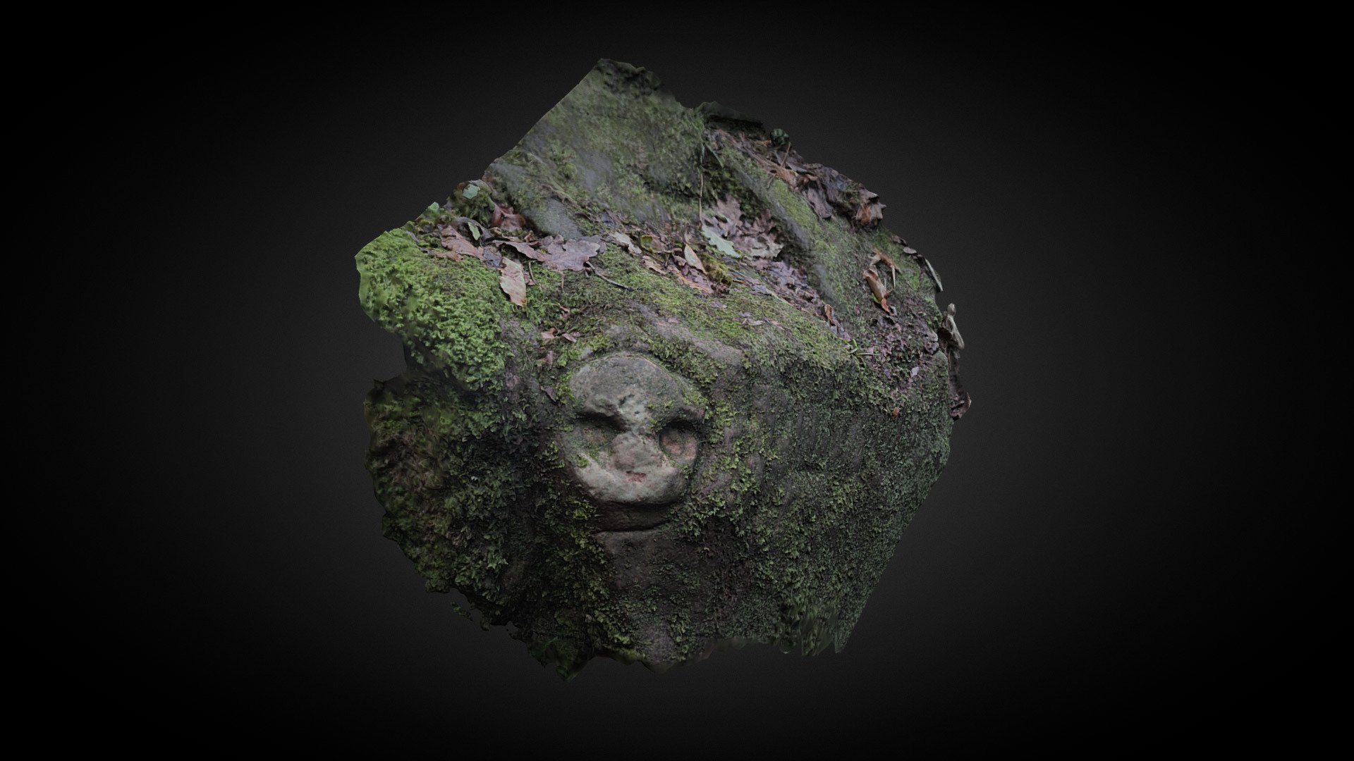 Roslin Glen face/fish/monkey rock carving