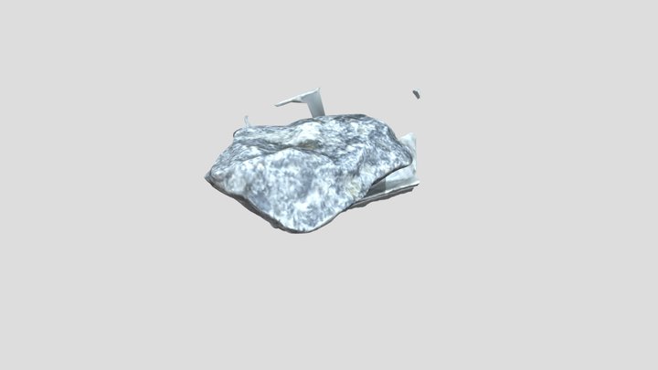 c43 3D Model