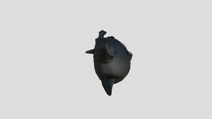 A cute little cat 3D Model