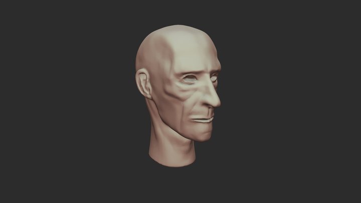 Decimated Head test 3D Model