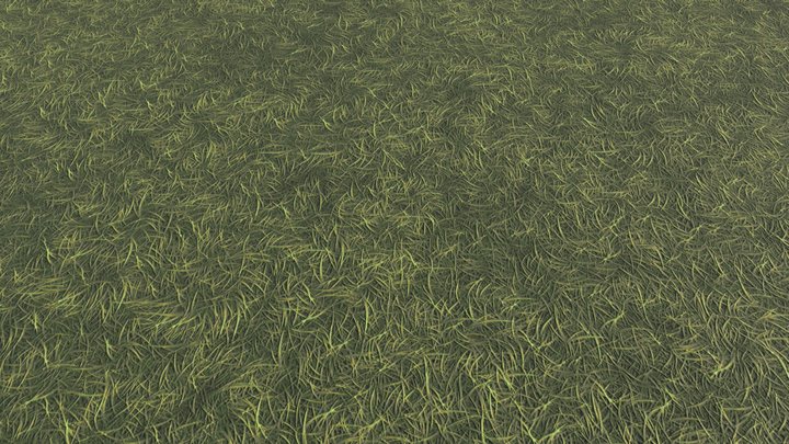 Simple Grass Ground (Free Low Model) 3D Model