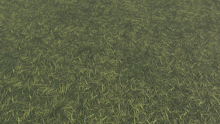 Simple Grass Ground (Free Low Model) 3D Model