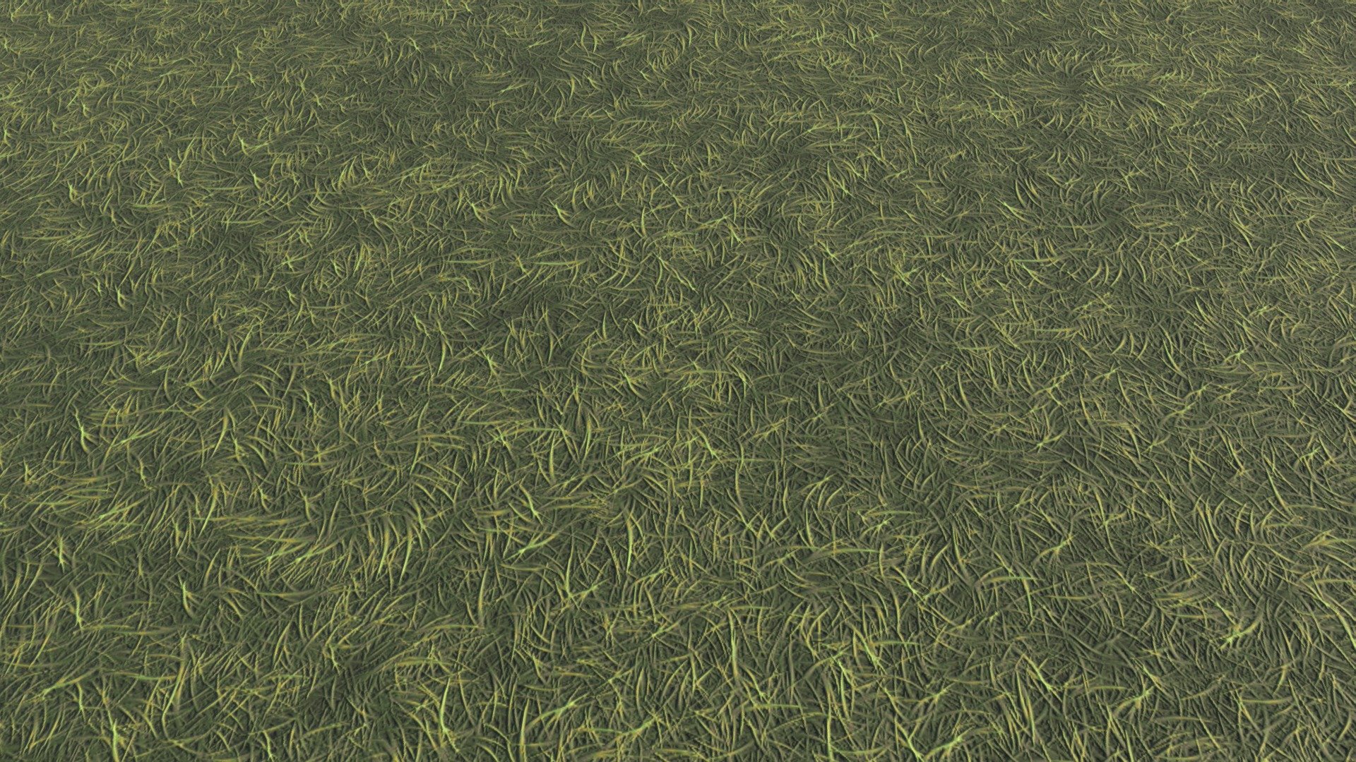 Simple Grass Ground (Free Low Model) - Download Free 3D model by Shun ...