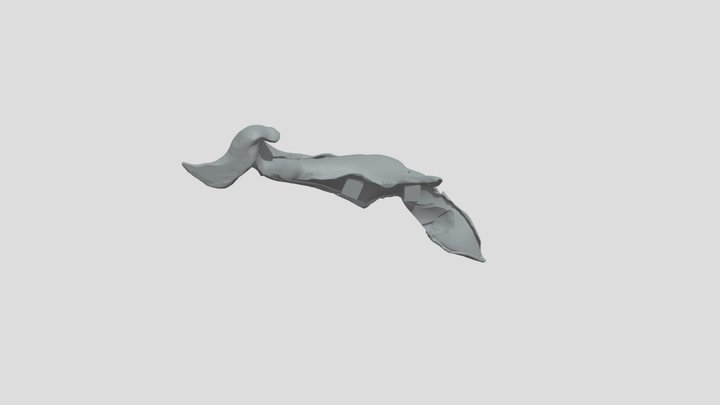 鯨魚1 3D Model