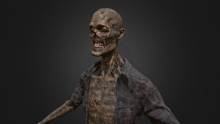 Decayed Zombie D 3D Model