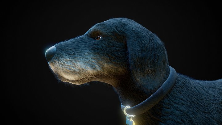 Riley the Labradoodle 3D Model