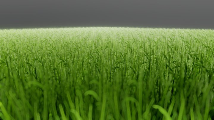 Tall Green Field 3D Model