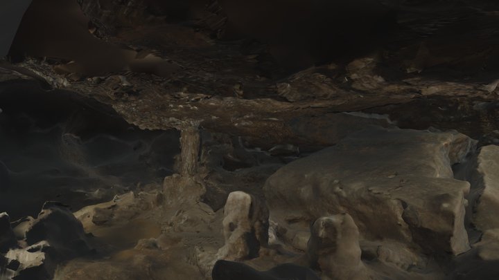 Carnegie Cave 3D Model