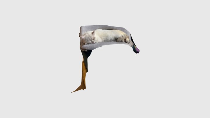 Sleeping cat 3D Model
