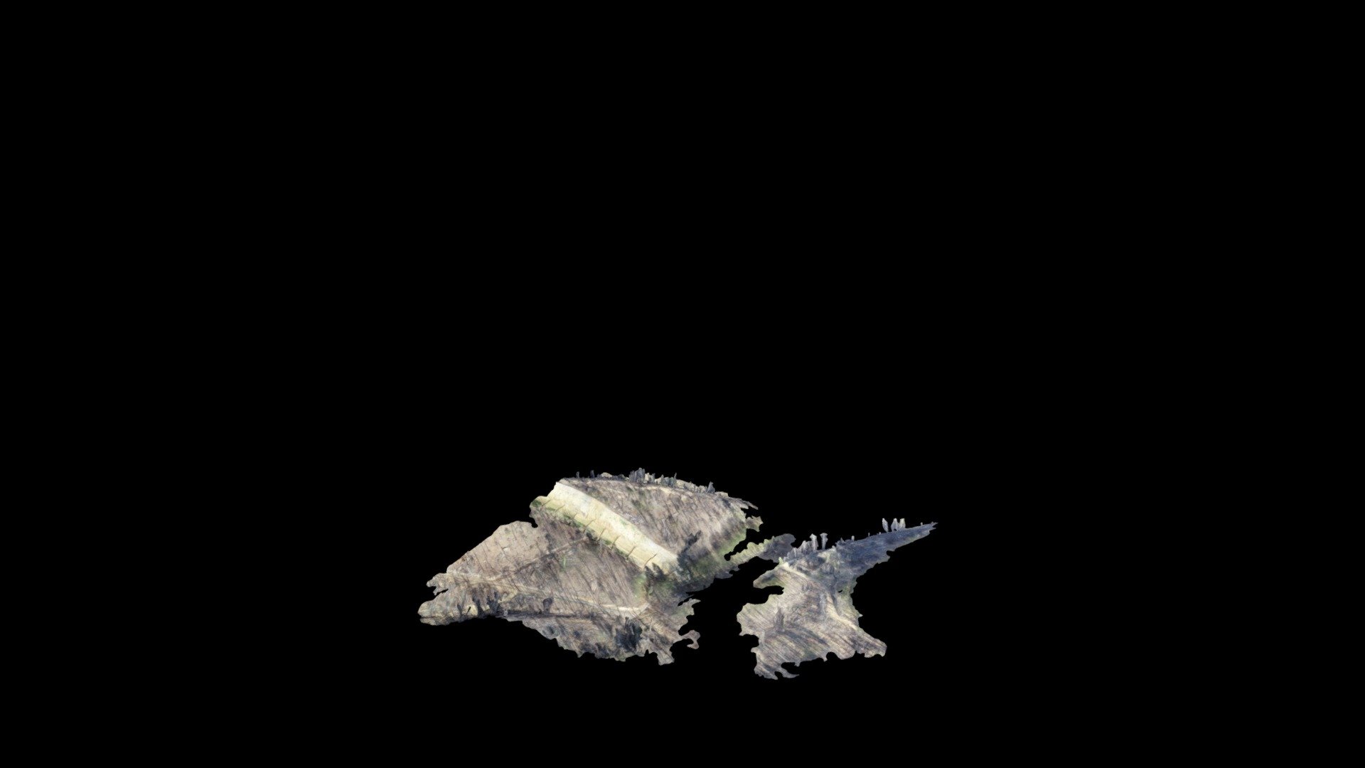 0001_123_MVP_TreeSitters_Flt01_20200120