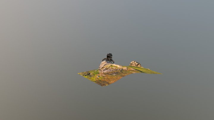 Dragon Scene 3D Model