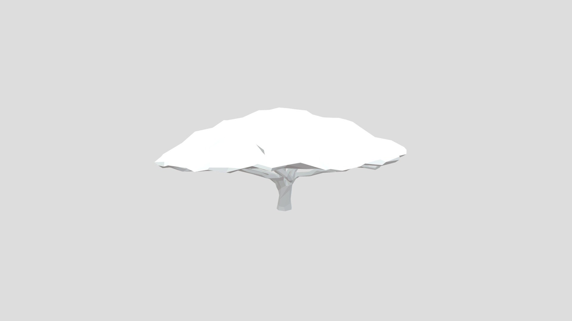 Acacia from Poly by Google