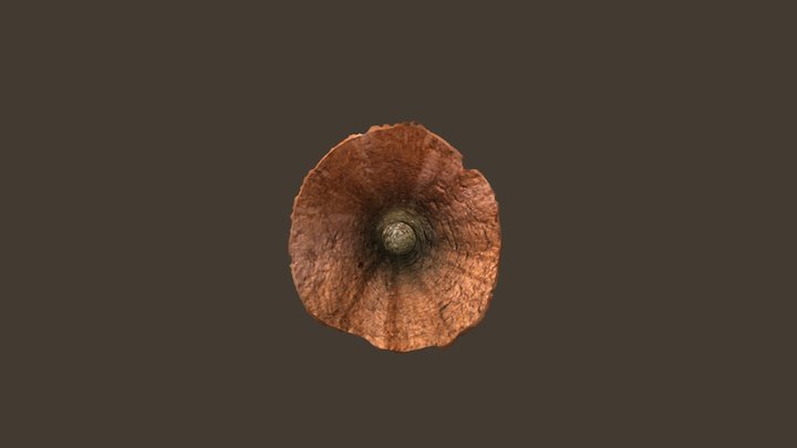 Catiche Hellemmes 3D Model