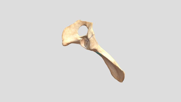 02 3D Model