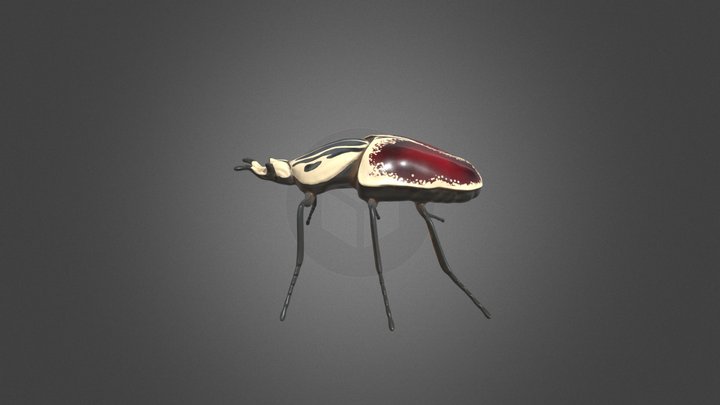 Goliath Beetle 3D Model