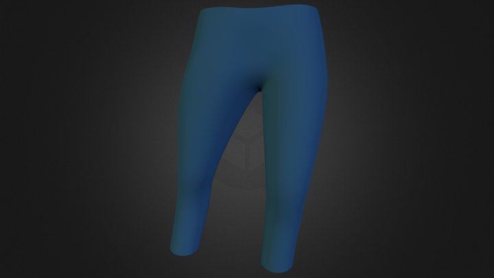 Pantalon Coloré 3D Model