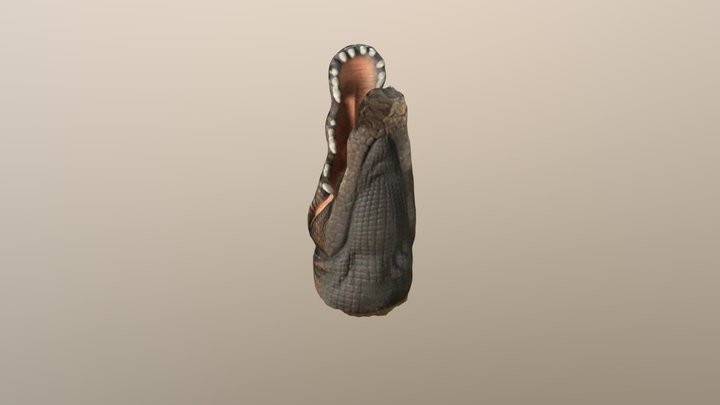 m0000459 3D Model