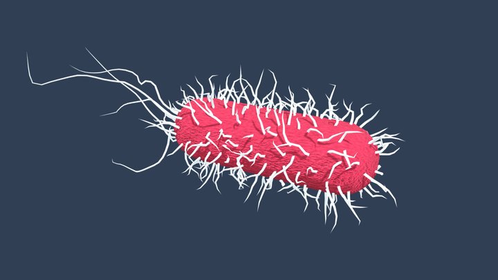Bacterium – Gratis 3D-model STL