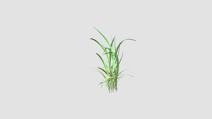 simple grass 3D Model
