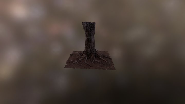 TREE SCAN 3D Model