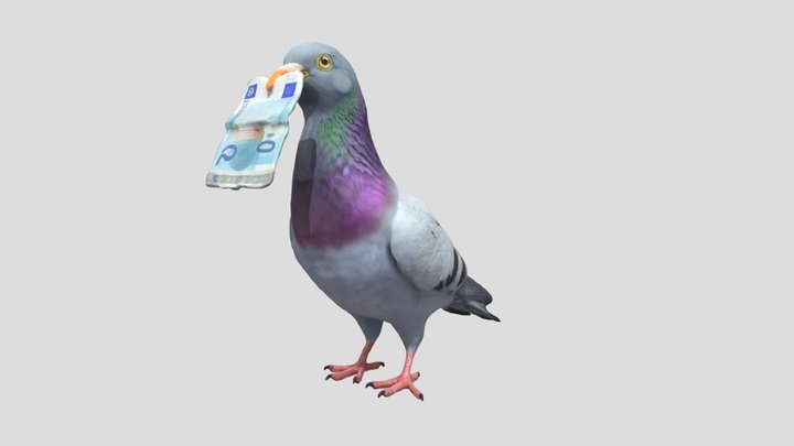 Pigeon with a Twenty Euro Note 3D Model