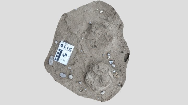 Muestra colección RICARDO – Modello 3D gratuito STL
