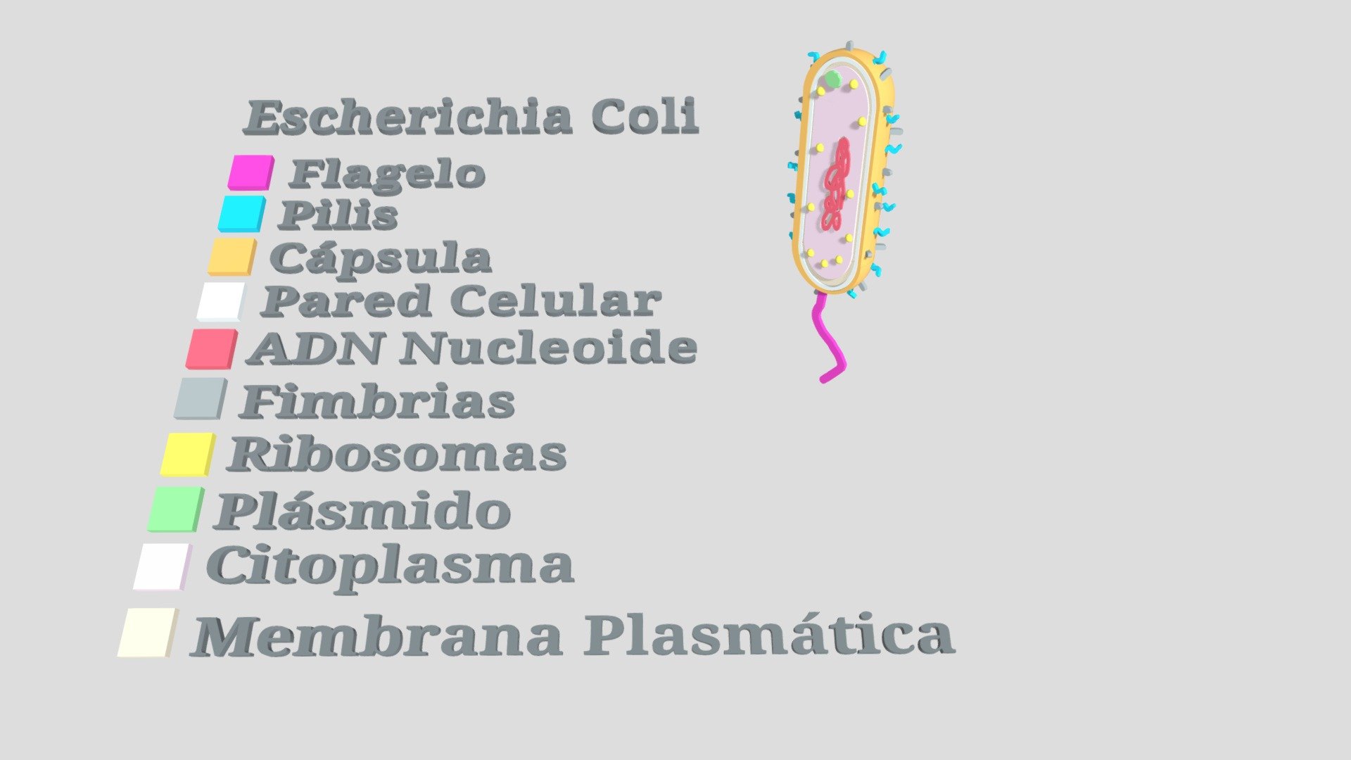 MICROUGHS_Escherichia Coli_YARR_DMSD_MPR