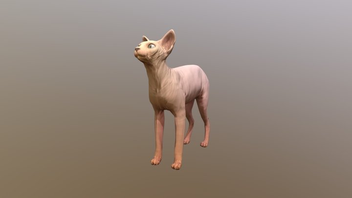 Sphynx Cat – Free 3D Model STL