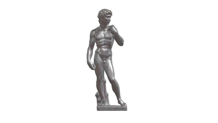 David Michelangelo 3D Model