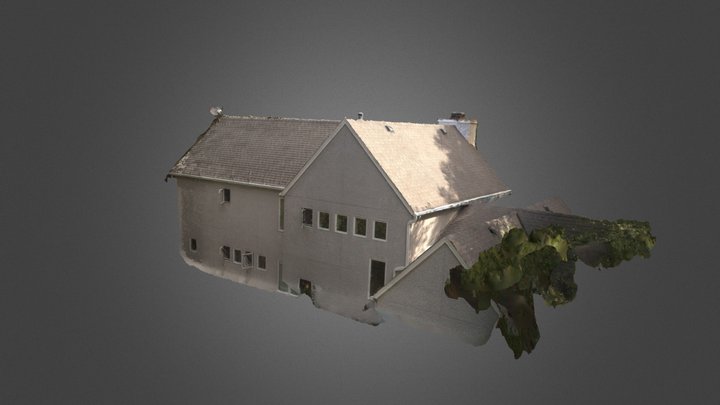 Williston Roof 3D Model