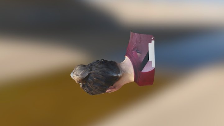 LH 3D Model