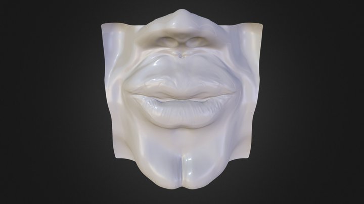 011-Lips 3D Model