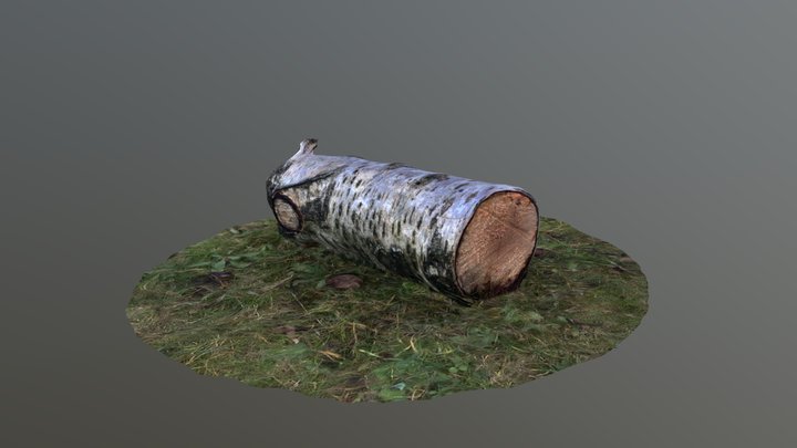 Bûche de bois 3D Model