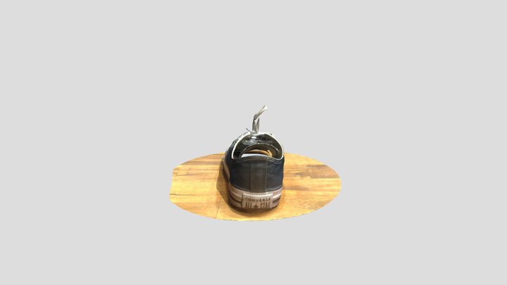 ANTH 384 Photogrammetry Assignment 3D Model