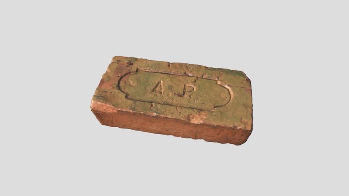 Brique Guyane 3D Model