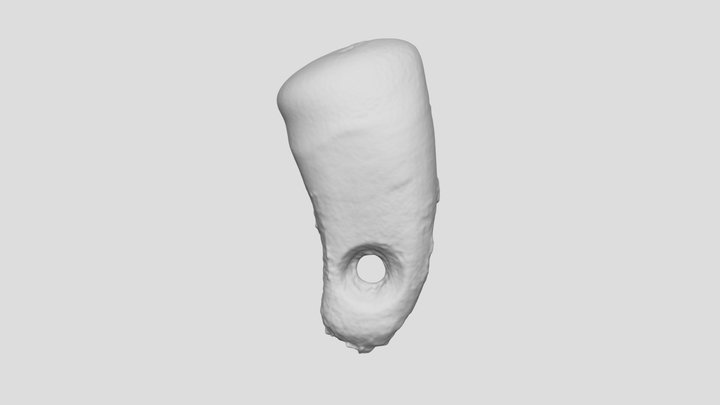 Exp. 68 Suspended 3D Model