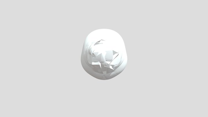 My model 3D Model
