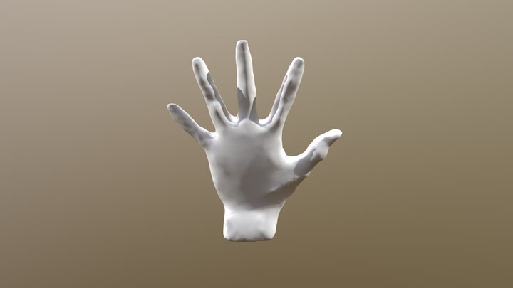 Hand 3D Model