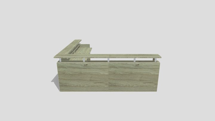 Custom STI Reception 3D Model