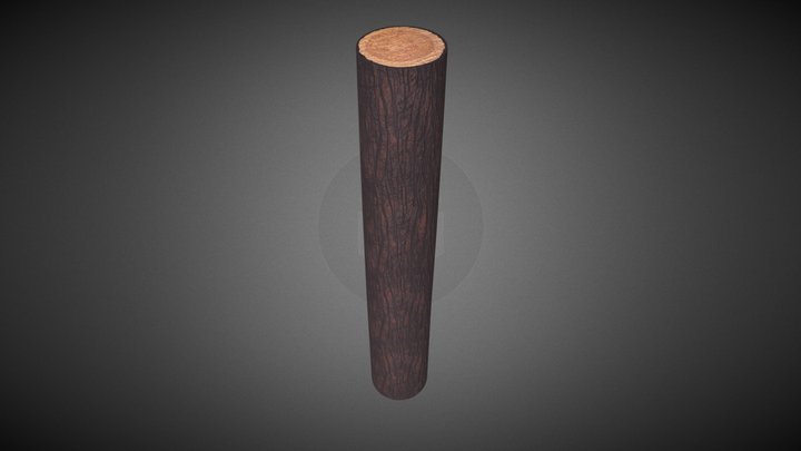 Test Wood Material 3D Model