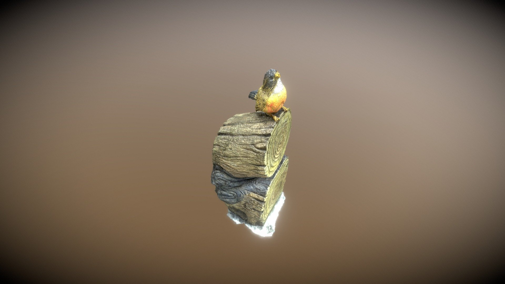 Bird on Tree