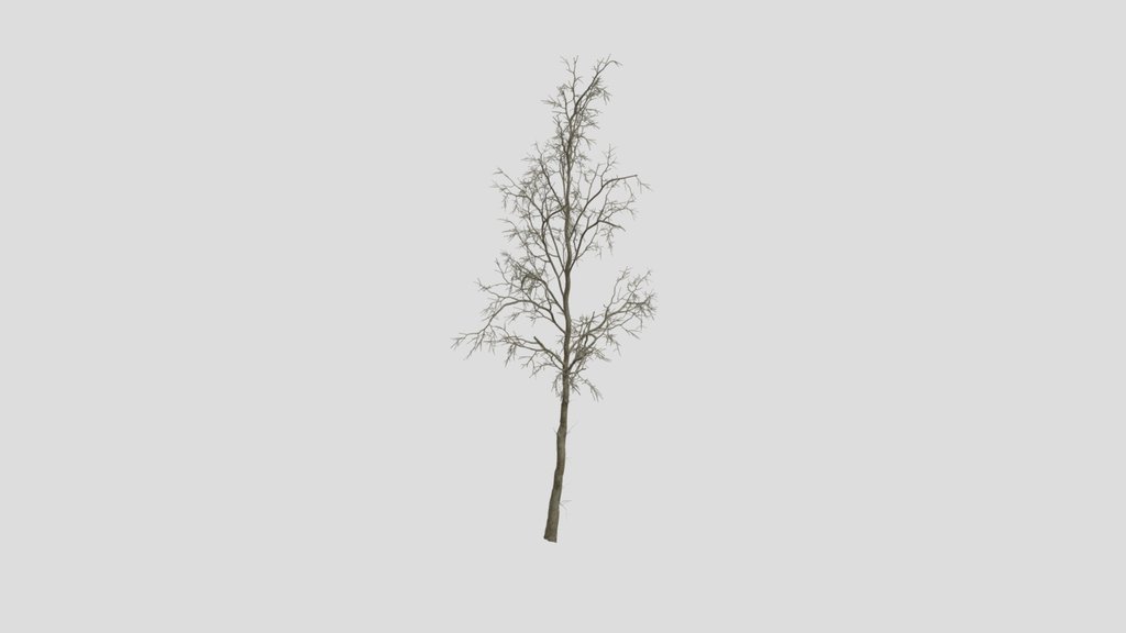 Dead Tree V3