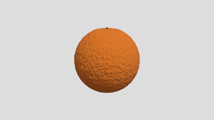 Orange 3D Model